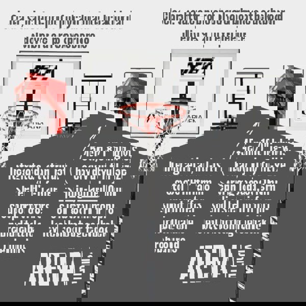 NET1 Arena Basketball Hoop