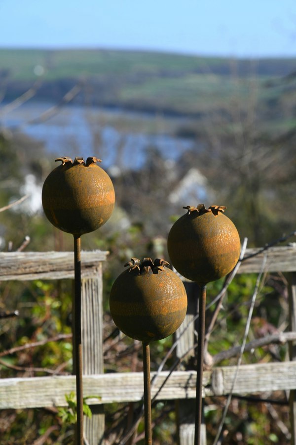 Savage Works Rusty Metal Poppy Seedhead - Metal Garden Flower Sculpture - Garden Decor