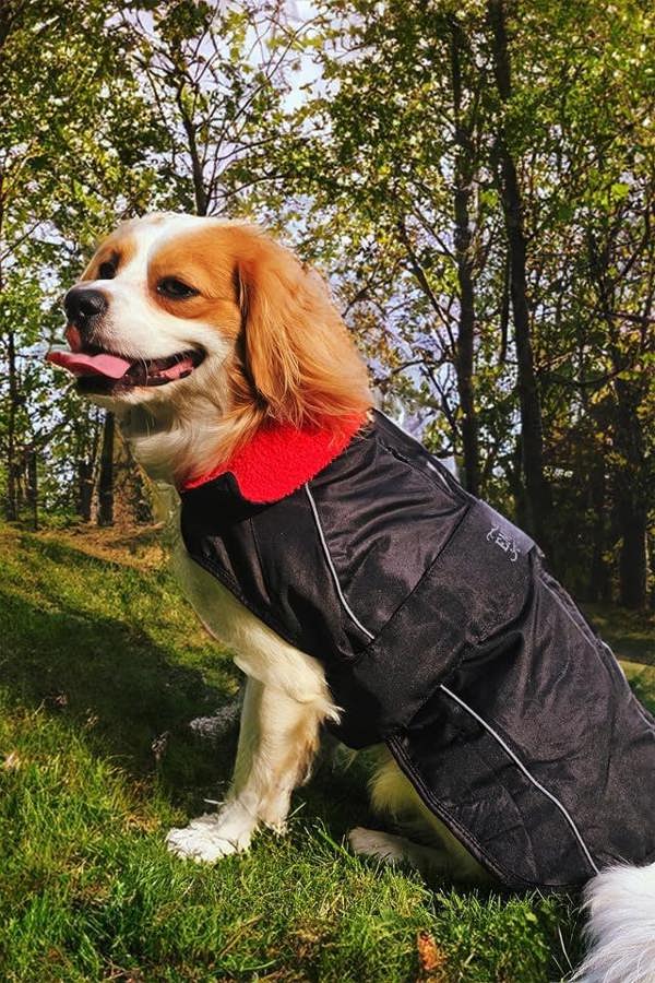 Waterproof Dog Jacket – Fleece-Lined, Reflective, Adjustable Fit - Optimum