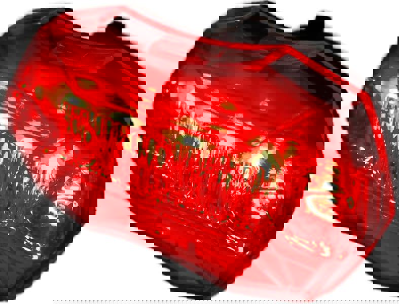 Awe Super Bright 5 x Red SMD LEDs Battery Rear Bike Light