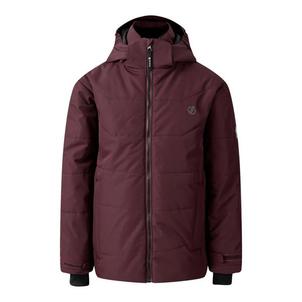 Dare 2B Childrens/Kids Explore Ski Jacket - Fig - 