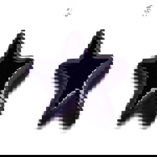 Memorials Direct Ceramic Star Keepsake