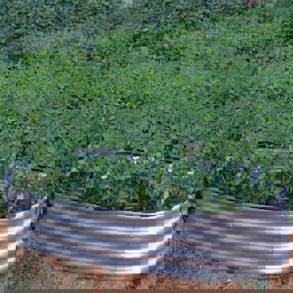 Gr8 Garden Garden Outdoor Raised Bed Planter Oval Galvanised Steel Trough Box 182x61x30cm