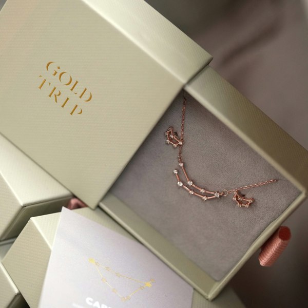 Gold Trip Zodiac Constellation Necklace & Earrings Gift Set