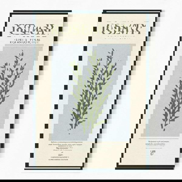 Reign&Hail Rosemary - Herb Print