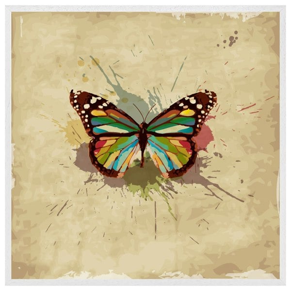 Benjamin Tate Design Butterfly & paint splats (Picture Frame)