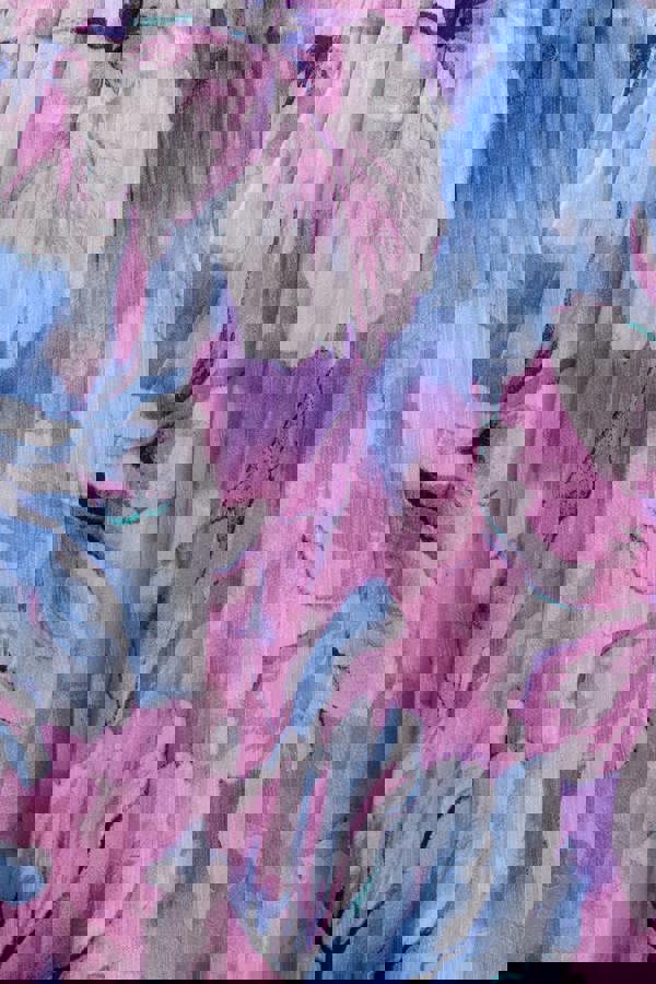 Flutter Sleeve Pleated Skirt Floral Midi Dress - Blue DR4565