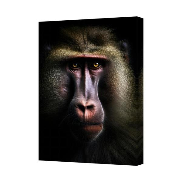 Benjamin Tate Design Mandrill Close Up Canvas Wall Art High Resolution Giclee Print