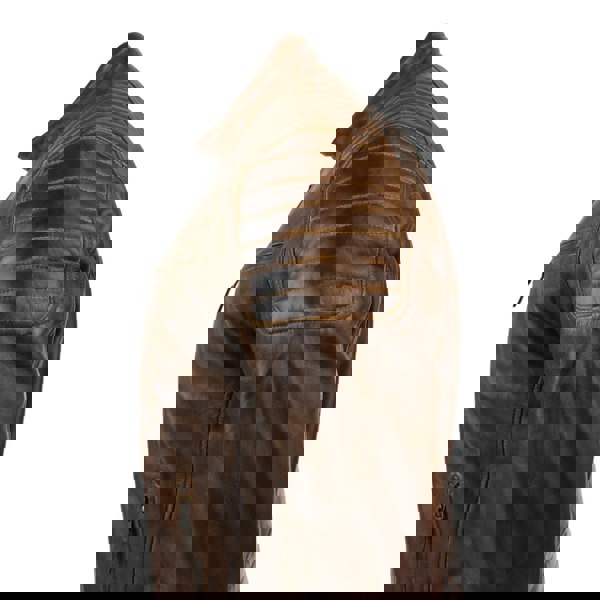 2101-nevada_jacket_timber_s, 2101-nevada_jacket_timber_m, 2101-nevada_jacket_timber_l, 2101-nevada_jacket_timber_xl, 2101-nevada_jacket_timber_xxl, 2101-nevada_jacket_timber_d_3xl, 2101-nevada_jacket_timber_4xl, 2101-nevada_jacket_timber_5xl, 2101-nevada_jacket_timber_6xl