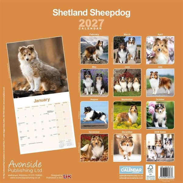 Shetland Sheepdog Calendar 2027, Wall Calendars, Month To View, Dogs, Gift