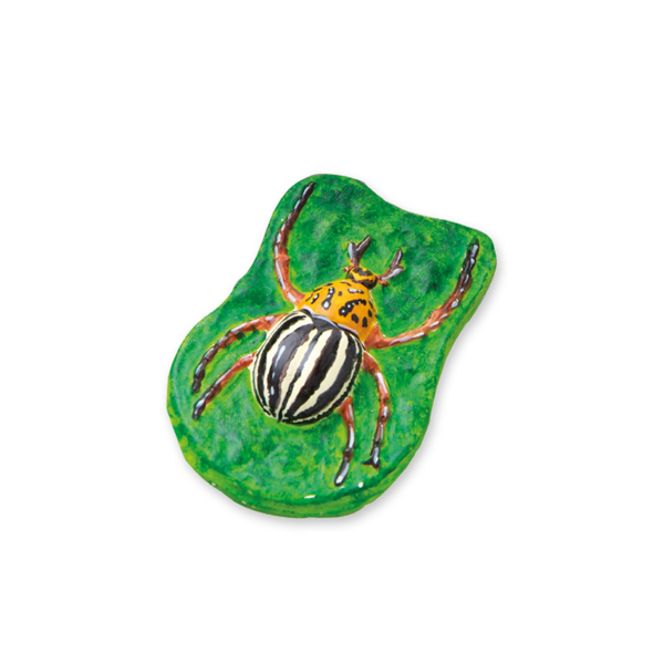 SES Creative Casting and painting - Scary animals