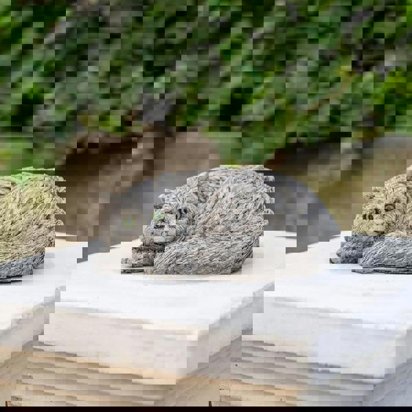 Persian Cat Stone Cast Garden Ornament