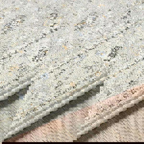 Livabliss Becki Owens Davina-Vintage Grey Brown Traditional Boho Rug