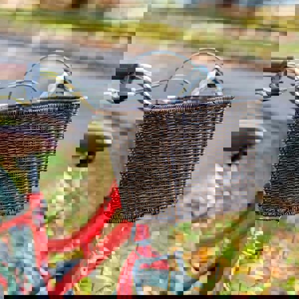 Elswick Harmony 18" Kids Heritage Bike