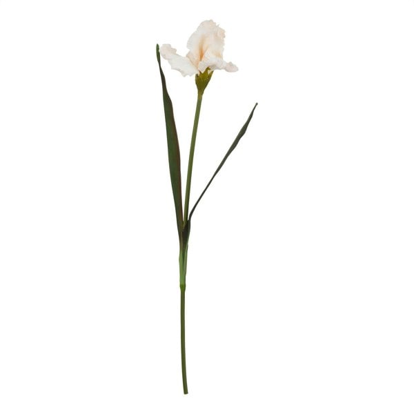 Hill Interiors The Natural Garden Collection Fringed Iris Artificial Flower - Pale Apricot