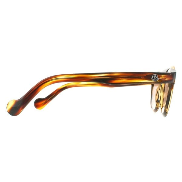 Moncler Sunglasses ML0073 50E Dark Brown Brown