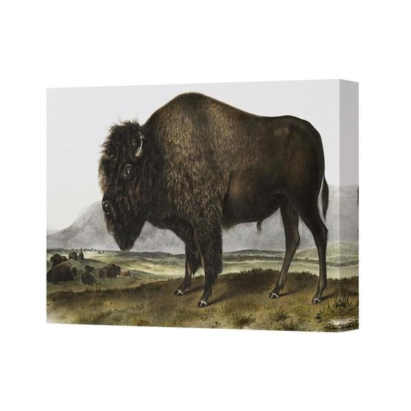Benjamin Tate Design Bison Canvas Wall Art Print Landscape Painting For Home Decor