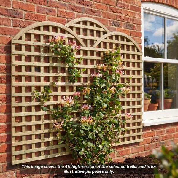 Premier Garden Supplies Privacy Triple Dome Top Fence Panel Topper 6ft x 1-5ft Garden Trellis Decorative Cloud Top Lattice Pergola Balcony Patio - Wood - 3, 4 or 5 - 3 Pack Height: 5ft x Width: 6ft (182.8cm) x 3 Pack