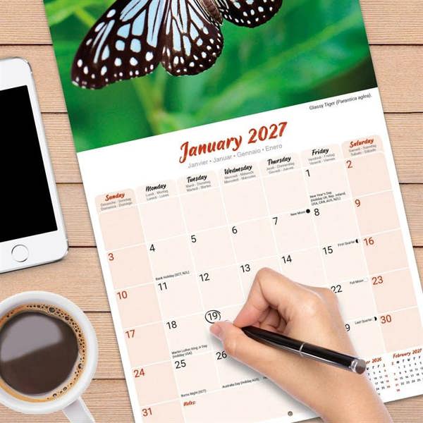 Butterflies Calendar 2027, Wall Calendars, Month To View, Animals, Gift