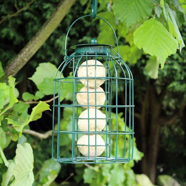 Samuel Alexander Pack of 3 Hanging Nut Seed & Fat Ball Bird Feeders with Squirrel Guard