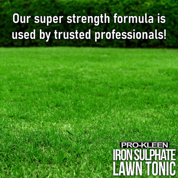 ProKleen Pro-Kleen 10L Pump Sprayer with Pro-Kleen Liquid Iron Sulphate 5L Grass Greener & Turf Hardener