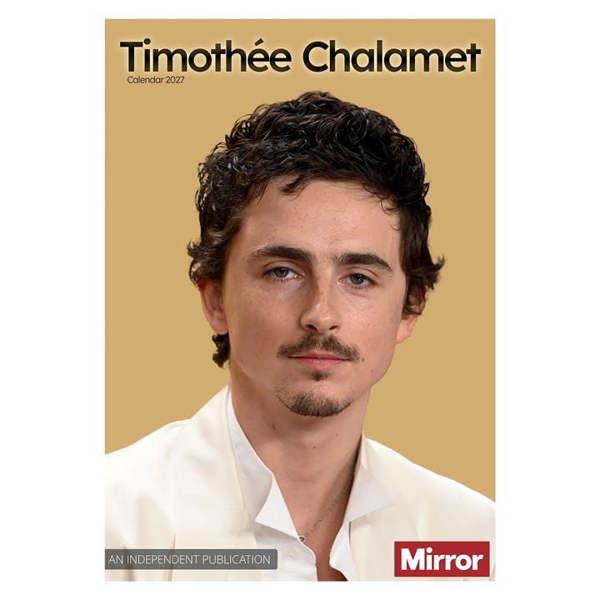 Timothee Chalamet A3 Calendar 2027, Wall Calendars, Month To View, Entertainment, Gift