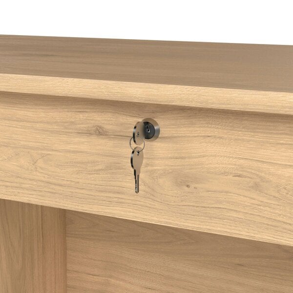 Wyld Haus Billabong Jackson Hickory Oak Wood 4 Drawer Office Desk