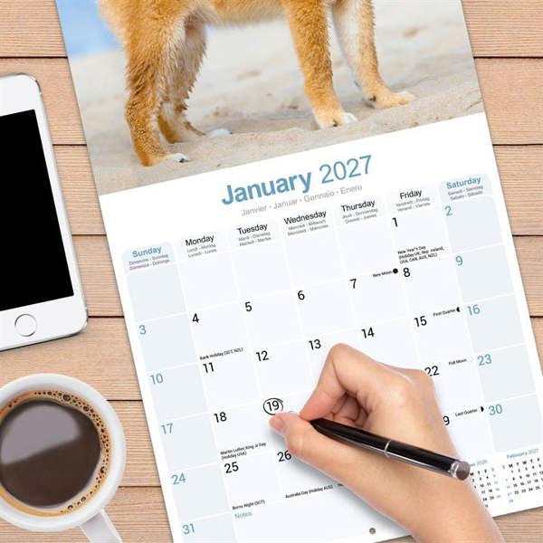 Shiba Inu Calendar 2027, Wall Calendars, Month To View, Dogs, Gift
