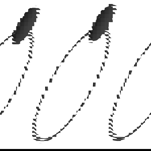 Black stainless steel towel ring