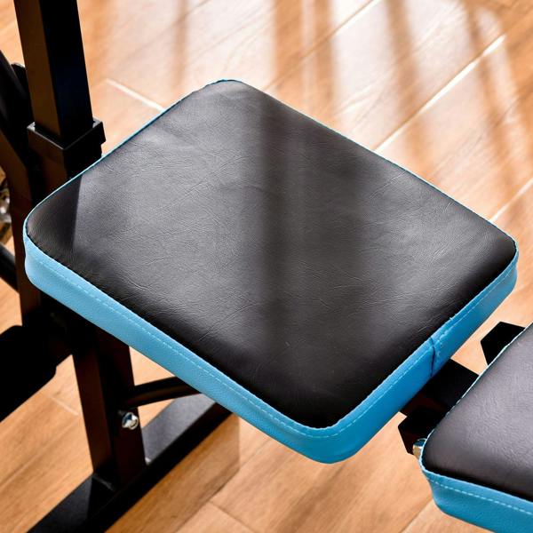 Close-up of black padded seat and backrest with blue trim on adjustable weight bench