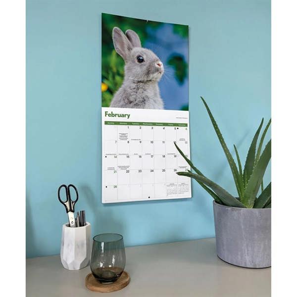 Rabbits Calendar 2027, Wall Calendars, Month To View, Animals, Gift