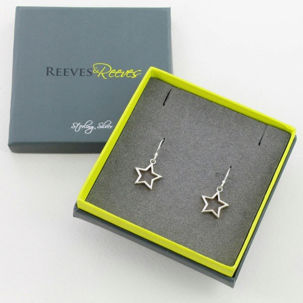 Sterling Silver and Gold Plated Shadow Star Earrings