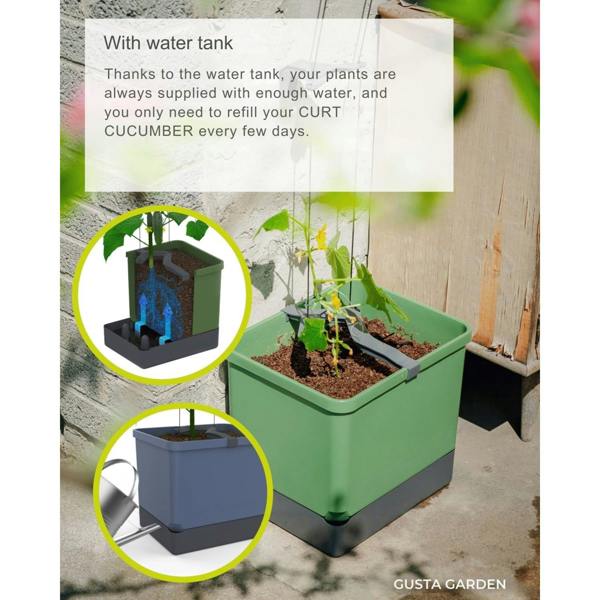 CURT CUCUMBER cucumber planter with water tank