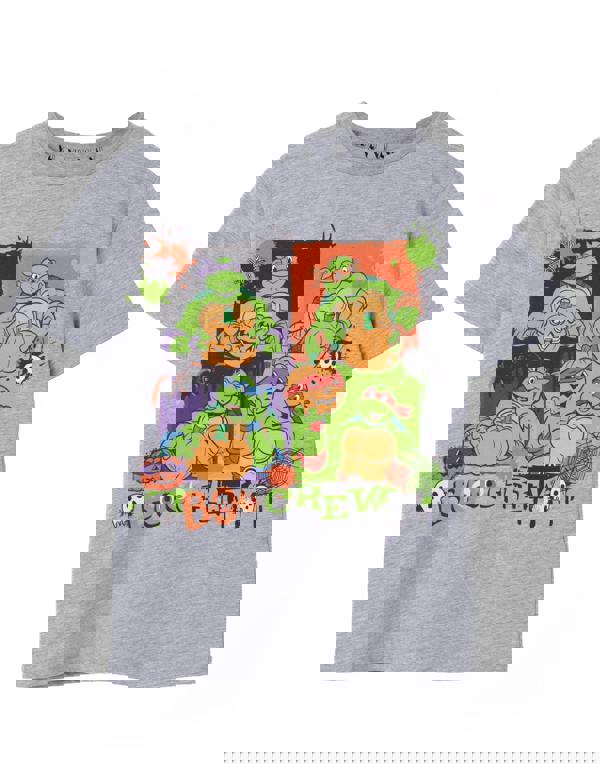 Teenage Mutant Ninja Turtles Unisex Kids Grey Boo Crew Short Sleeved T-Shirt