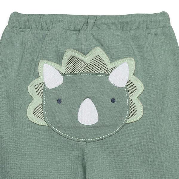 Mini Cuddles Baby Boys Joggers With Dinosaur Applique, Green