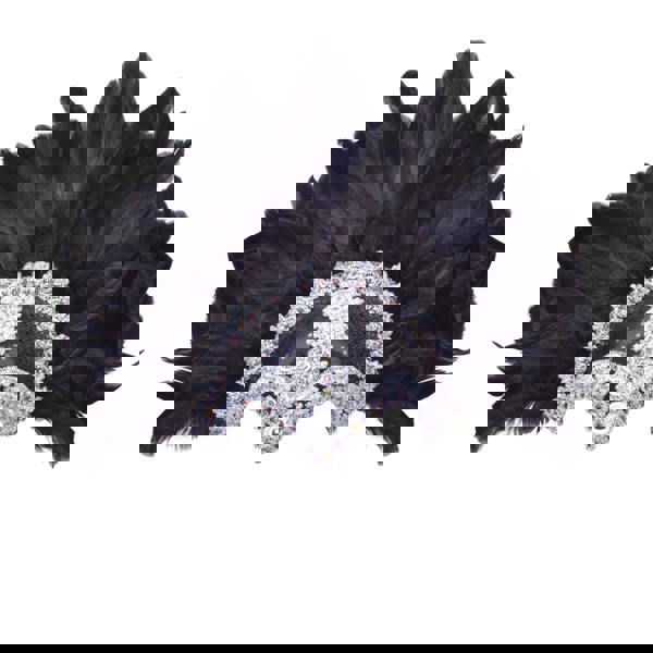 Bristol Novelty Womens/Ladies Braid Plume Feather Helmet - Black/Silver - 