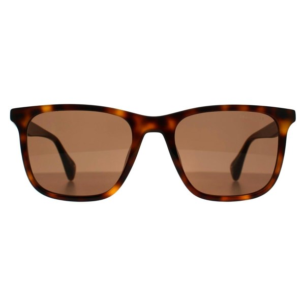 Ted Baker Sunglasses TB1724 Jacobe 104 Gloss Dark Tortoise Brown