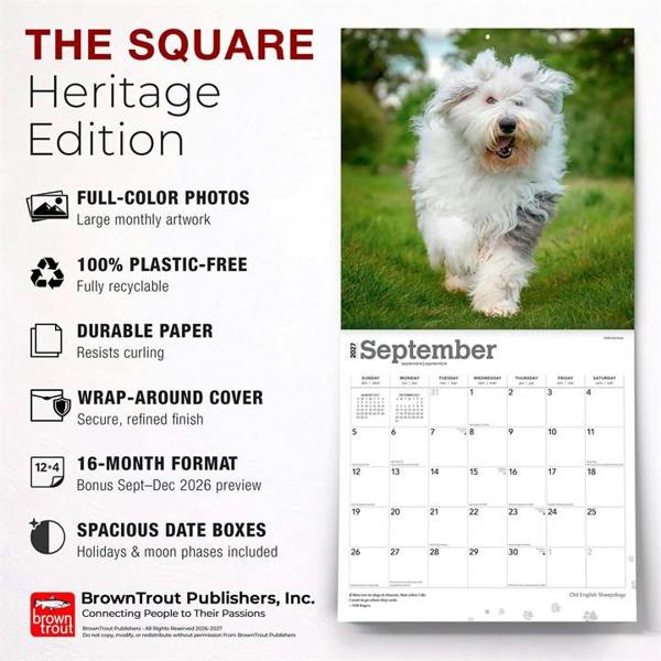 Old English Sheepdogs Calendar 2027, Wall Calendars, Month To View, Dogs, Gift
