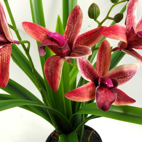 Leaf 50cm Dark Pink Artificial Orchid in Ceramic Planter