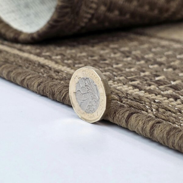 Non-Slip Beige Brown Rug Flat Weave Border Design Kitchen Dining Room Living Room Area Mat