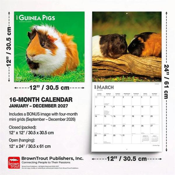 Guinea Pigs Calendar 2027, Wall Calendars, Month To View, Animals, Gift