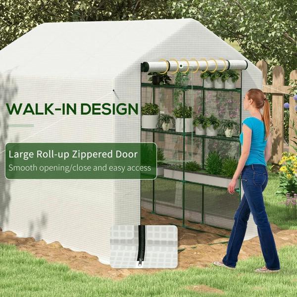 Walk-in greenhouse with shelves, white cover and green frame with large roll-up zipper door.