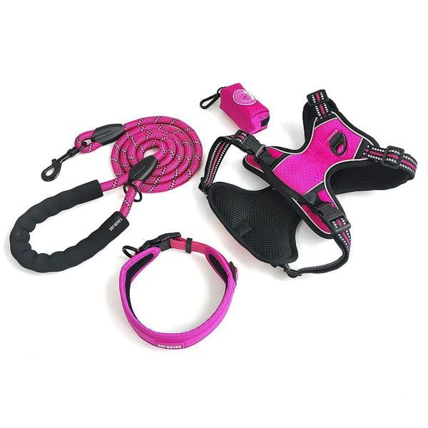 DRYBONES Dog/Pet Accessories Bundle