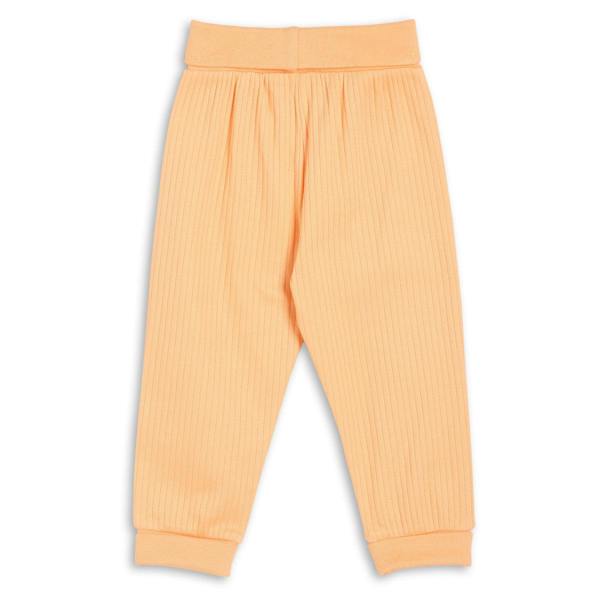 Mini Cuddles Baby Girls 3pk Fruits Print, Solid And Striped Leggings, Multicolour