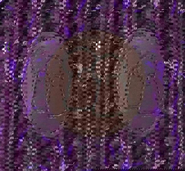 Big Bobble Hats Berry Sparkle