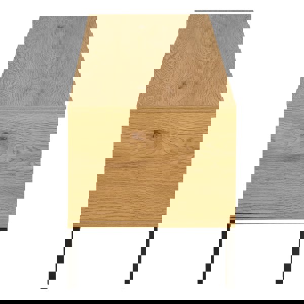 Furniture To Go Seaford Tv Unit 2 Doors 1 Drawer in Matt Wild Oak