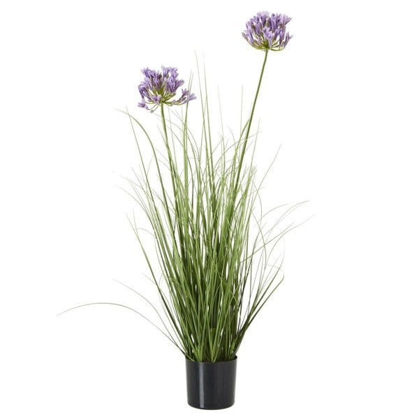 Hill Interiors Agapanthus Plant Pot - Green/Purple