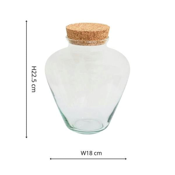 Ivyline Teardrop Glass Lid Terrarium