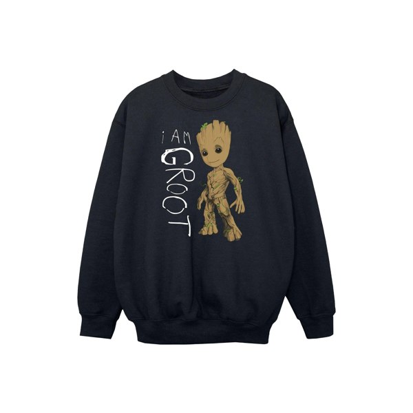 Marvel Boys Guardians Of The Galaxy I Am Groot Scribbles Sweatshirt - Black