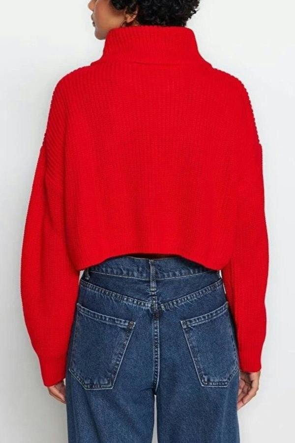 WOVCOR Super Crop Knit Sweater with Zipper Detail